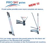 ski machine simulator poles
